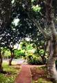 7142 Kamehameha V Hwy - Photo 27
