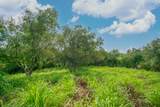  Apopo Rd - Photo 11