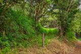  Apopo Rd - Photo 13