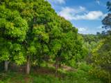  Apopo Rd - Photo 5