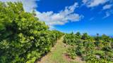 95-3869 Halemauna Rd - Photo 14