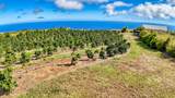 95-3869 Halemauna Rd - Photo 17
