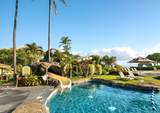4331 Kauai Beach Dr - Photo 22