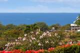 75-346 Hualalai Rd - Photo 17
