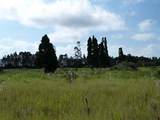  Volcano Rd - Photo 6