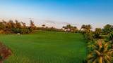 4365 Paliku Pl - Photo 12