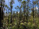  Laupaka Rd - Photo 3