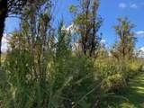  Laupaka Rd - Photo 6