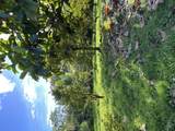  Pahoa Kalapana Rd - Photo 1