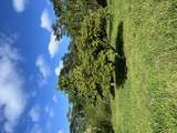  Pahoa Kalapana Rd - Photo 4