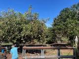 77-6316 Mamalahoa Highway - Photo 15