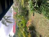 76-5924 Mamalahoa Highway - Photo 11