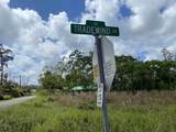  Tradewind Dr - Photo 3