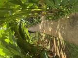 1831 Poipu Rd - Photo 25