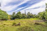 36-2615 Laupahoehoe Point Rd - Photo 10