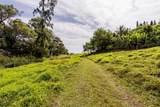 36-2615 Laupahoehoe Point Rd - Photo 9