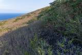  Guava Rd - Photo 16