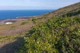  Guava Rd - Photo 19
