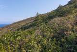 Guava Rd - Photo 21