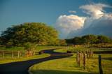 56-101 Pualani Rd - Photo 15