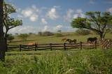 56-101 Pualani Rd - Photo 16