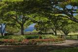 56-101 Pualani Rd - Photo 7
