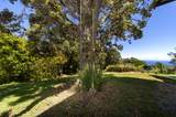 43-1956 Aina Kope Rd - Photo 28