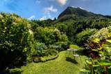 5-8192 Kuhio Hwy - Photo 20