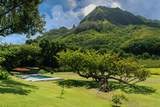 5-8192 Kuhio Hwy - Photo 21