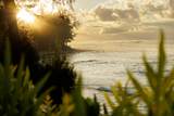 5-8192 Kuhio Hwy - Photo 22