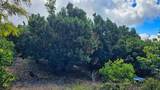 92-1750 Keaka Pkwy - Photo 21