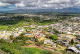 2819 Kapena St - Photo 30