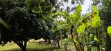 94-1388 Kaulua Circle - Photo 21