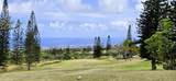94-1388 Kaulua Circle - Photo 3