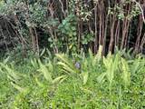  Pohaku Circle - Photo 9