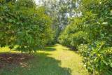 29-545 Chin Chuck Rd - Photo 9