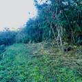 110 Ea Rd - Photo 4