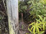  Ohialani Rd - Photo 11