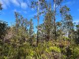  Road 3 (Hopue) - Photo 1