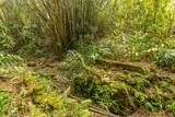 44-3275 Hoo Kahua Rd - Photo 29