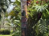  Ainaloa Dr - Photo 4