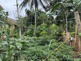 4528-B Hauaala Rd - Photo 10