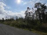  Kaleponi Dr - Photo 10