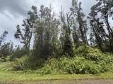  Pahoa Rd - Photo 5