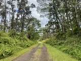  Pahoa Rd - Photo 6