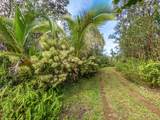 16-1046 Opeapea Rd - Photo 22