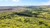  Opihikao Rd - Photo 9