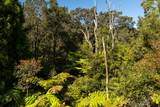 Haunani Rd - Photo 3