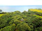 27-577 Old Mamalahoa Hwy - Photo 15