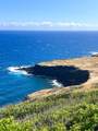  Pulelehua Rd - Photo 4